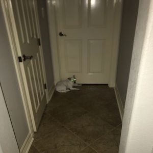 Meet your Posher, Mackenzie